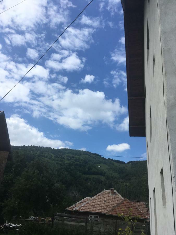 בית הארחה מויצ'ו דה סוס 	Casa Oana Ioana מראה חיצוני תמונה